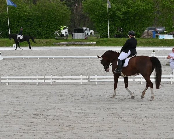 Reitturnier Pietzpuhl 2022