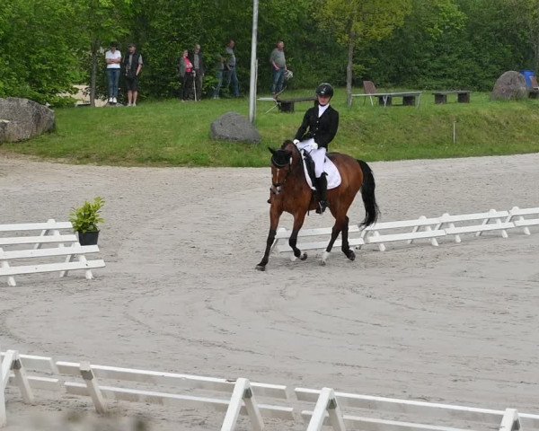 Reitturnier Pietzpuhl 2022