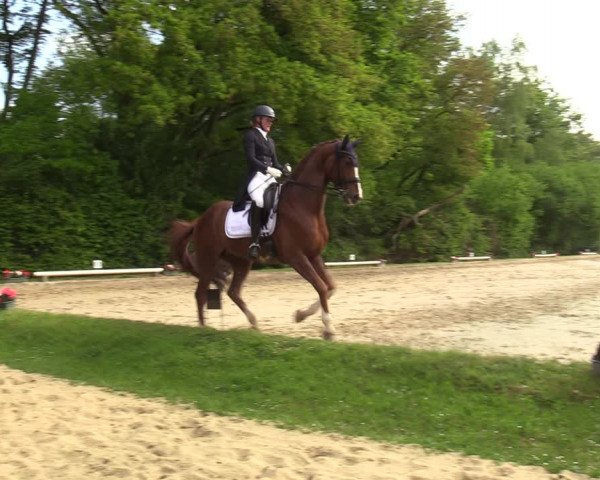 Reitturnier Dinslaken-Hiesfeld 2022