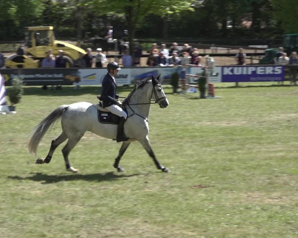 Reitturnier Meppen 2022