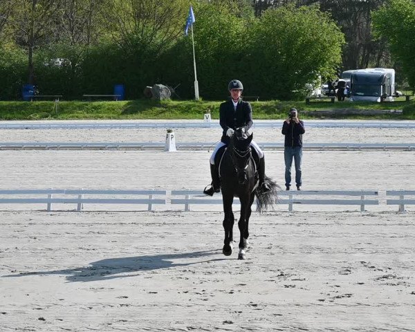 Reitturnier Pietzpuhl 2022