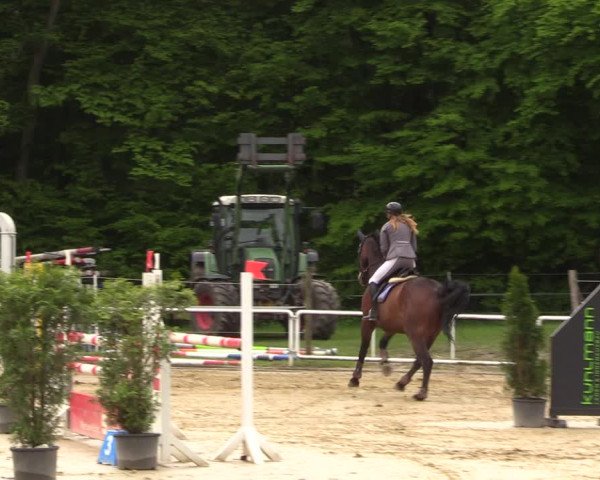Reitturnier Dinslaken-Hiesfeld 2022