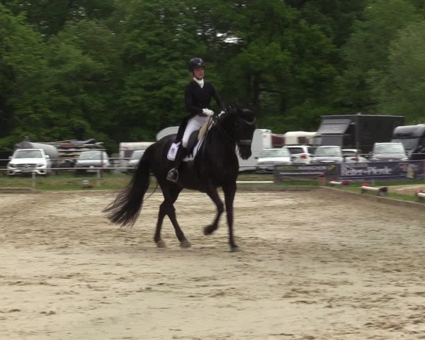 Reitturnier Dinslaken-Hiesfeld 2022