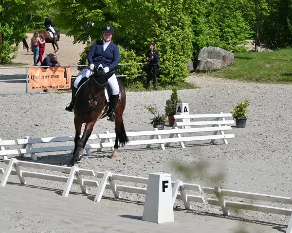 Reitturnier Pietzpuhl 2022