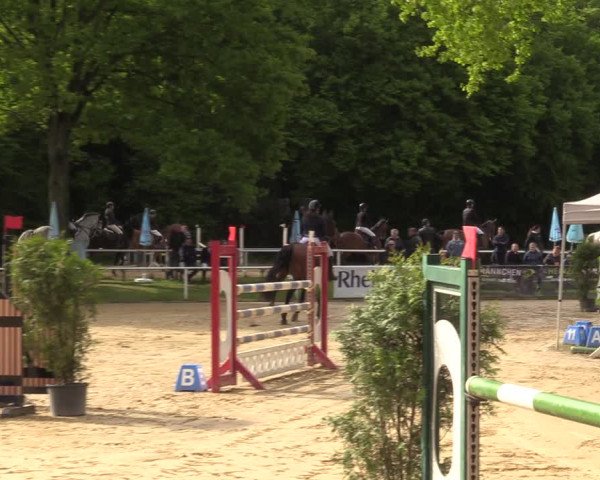 Reitturnier Dinslaken-Hiesfeld 2022