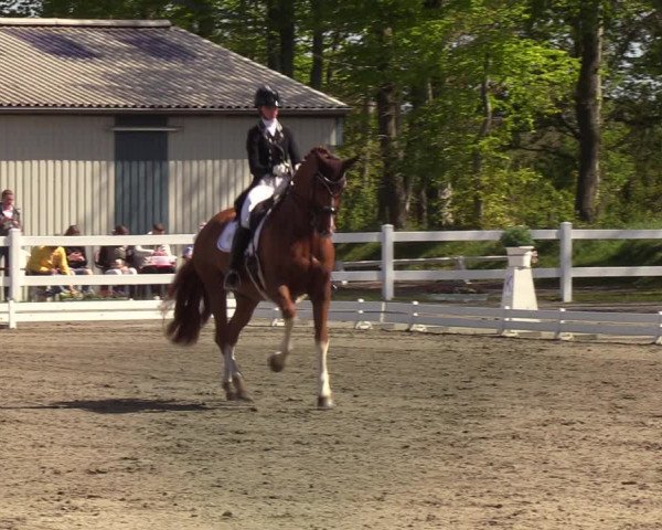 Reitturnier Mildstedt 2022