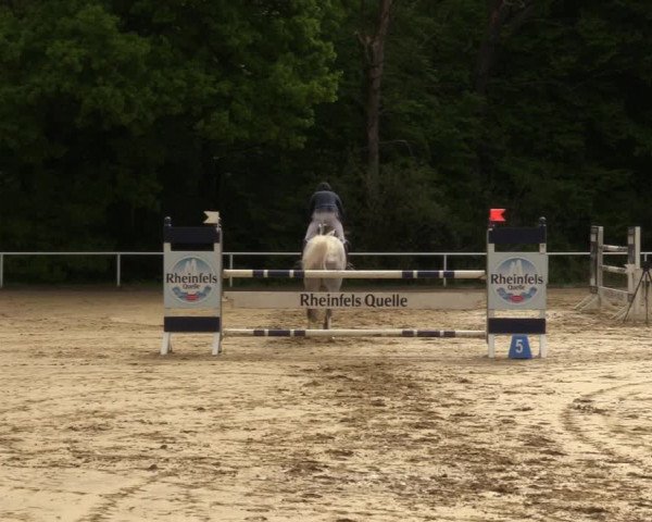 Reitturnier Dinslaken-Hiesfeld 2022