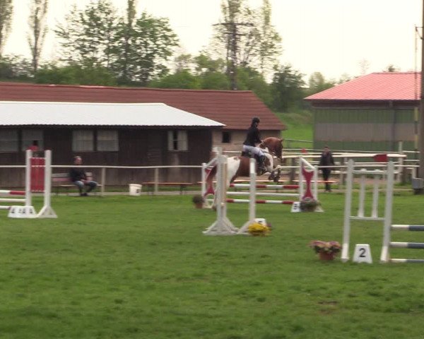 Reitturnier Derenburg 2022