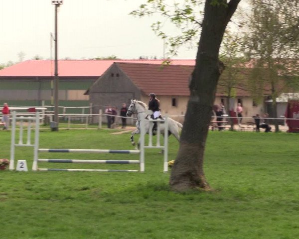 Reitturnier Derenburg 2022