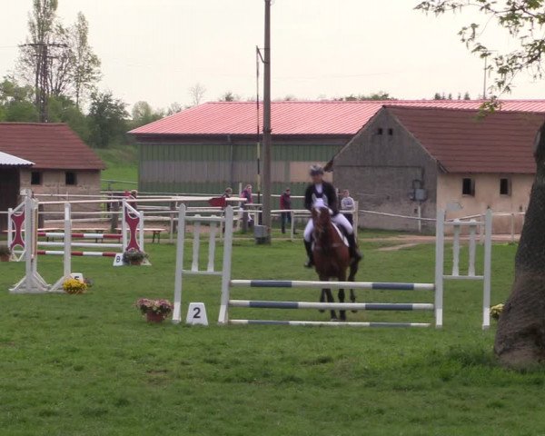 Reitturnier Derenburg 2022