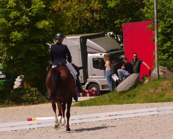Reitturnier Pietzpuhl 2022