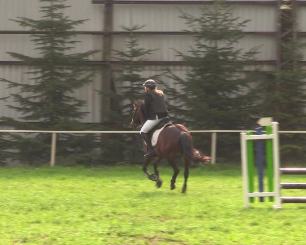 Reitturnier Derenburg 2022