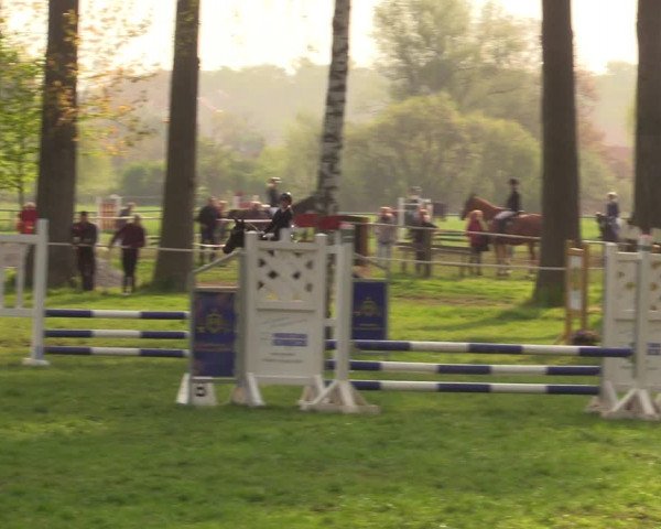 Reitturnier Derenburg 2022