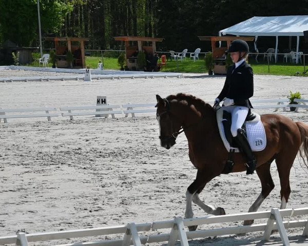Reitturnier Pietzpuhl 2022