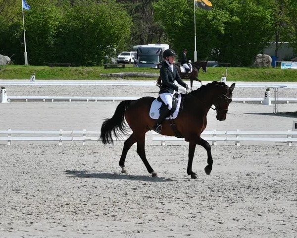 Reitturnier Pietzpuhl 2022