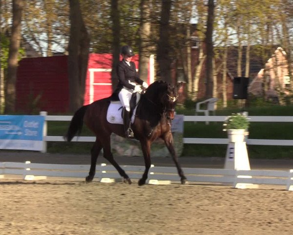 Reitturnier Mildstedt 2022