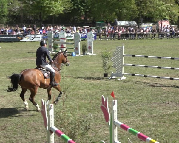 Reitturnier Meppen 2022