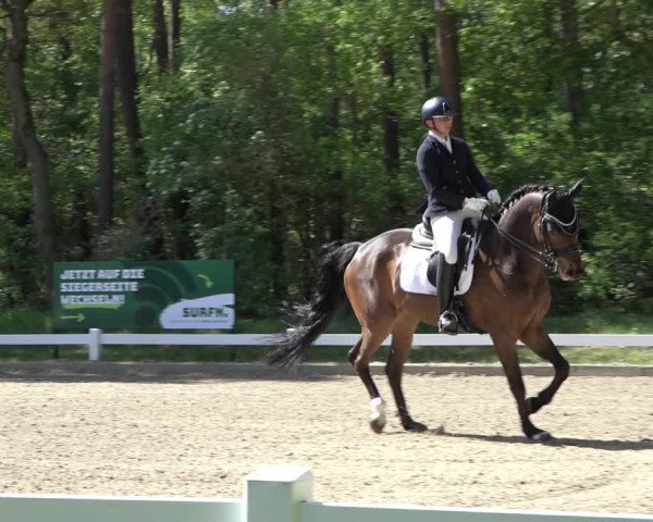 Reitturnier Meppen 2022