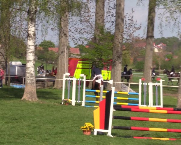 Reitturnier Derenburg 2022