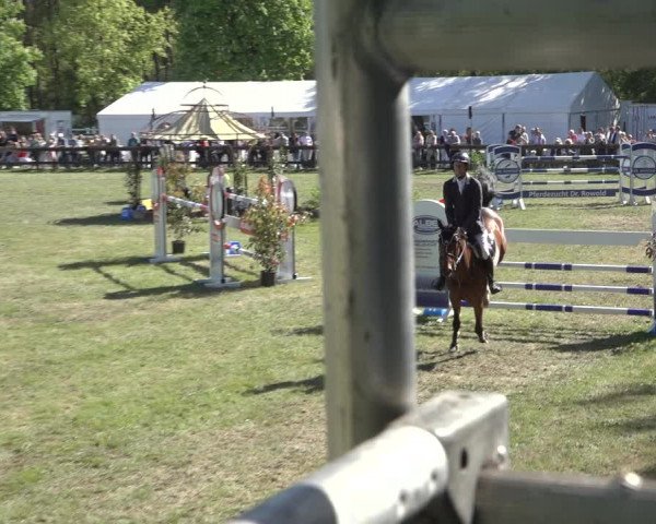 Reitturnier Meppen 2022