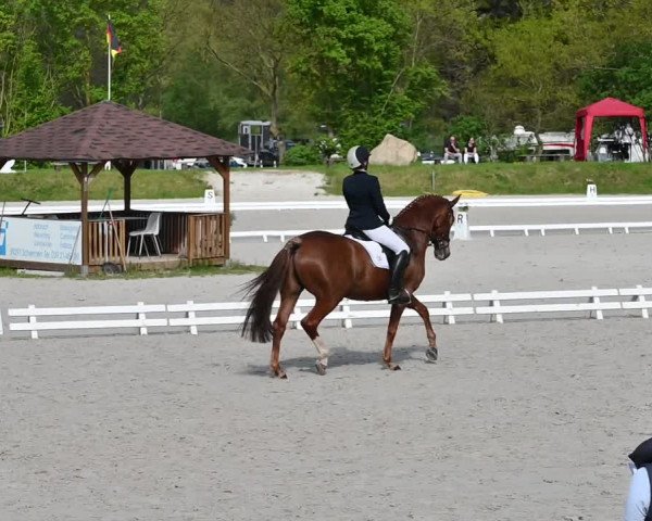Reitturnier Pietzpuhl 2022