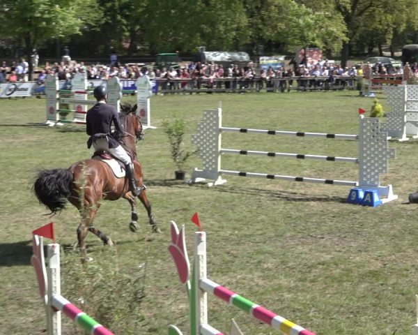Reitturnier Meppen 2022