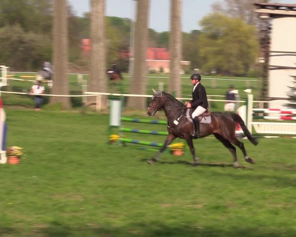 Reitturnier Derenburg 2022
