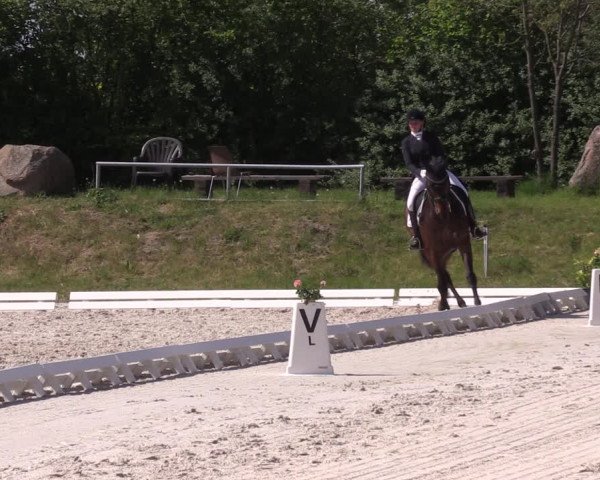 Reitturnier Pietzpuhl 2022