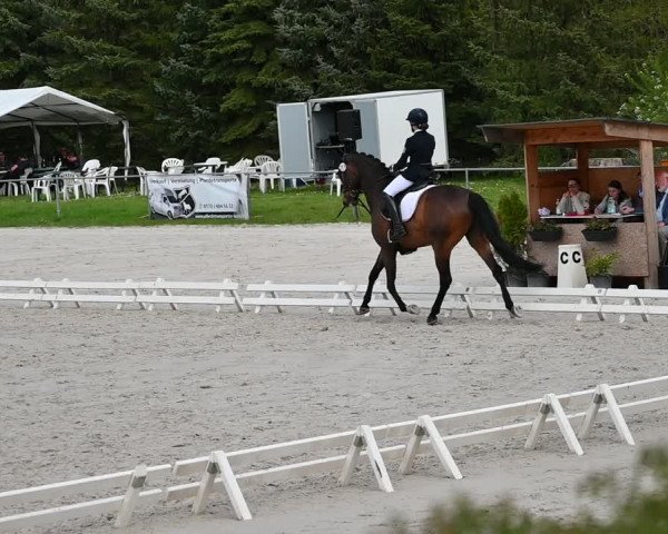 Reitturnier Pietzpuhl 2022