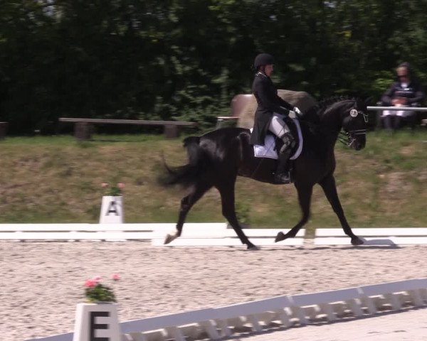 Reitturnier Pietzpuhl 2022