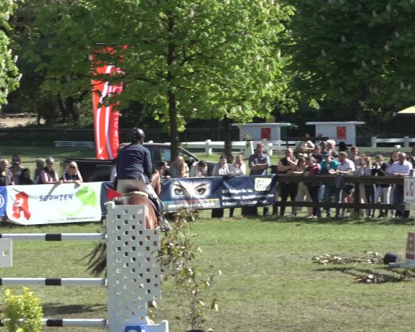 Reitturnier Meppen 2022