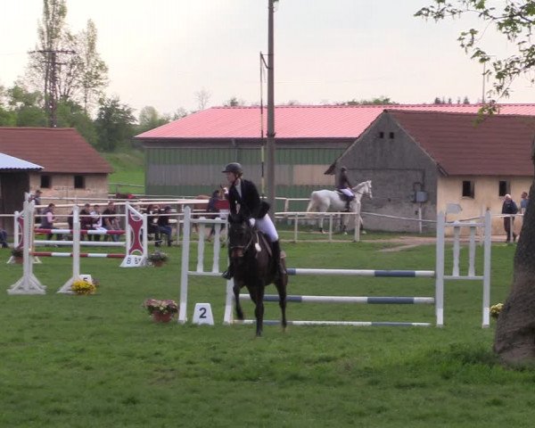 Reitturnier Derenburg 2022
