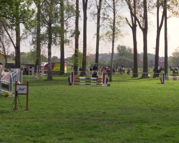 Reitturnier Derenburg 2022