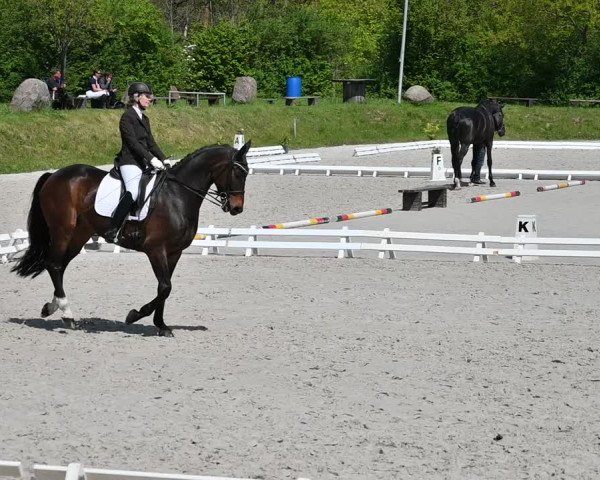 Reitturnier Pietzpuhl 2022