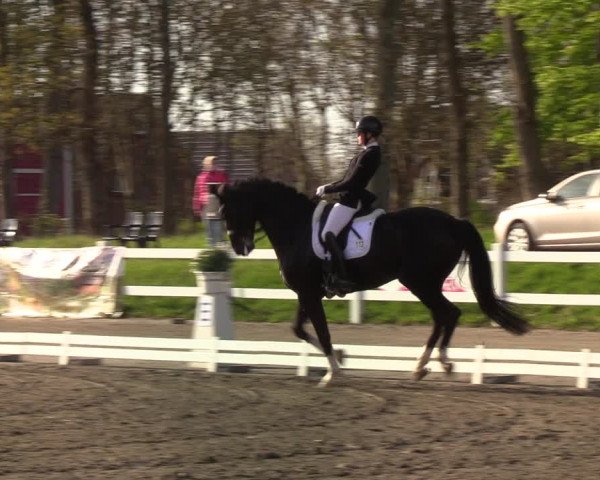 Reitturnier Mildstedt 2022