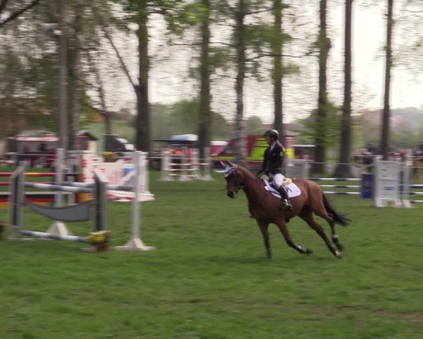 Reitturnier Derenburg 2022