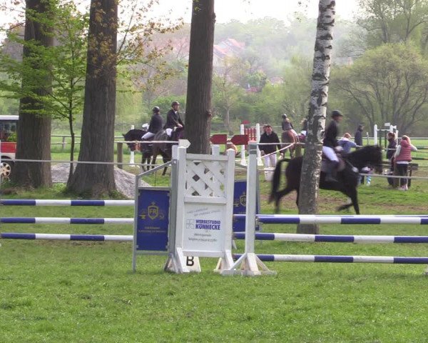 Reitturnier Derenburg 2022