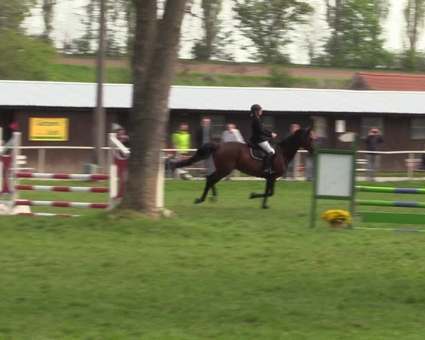 Reitturnier Derenburg 2022