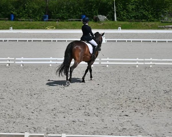 Reitturnier Pietzpuhl 2022