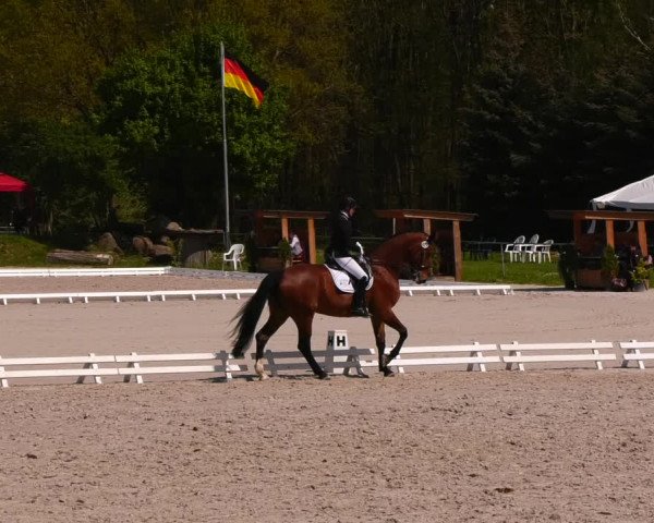 Reitturnier Pietzpuhl 2022