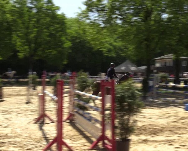 Reitturnier Dinslaken-Hiesfeld 2022