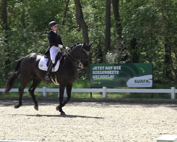 Reitturnier Meppen 2022