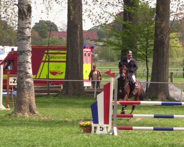 Reitturnier Derenburg 2022