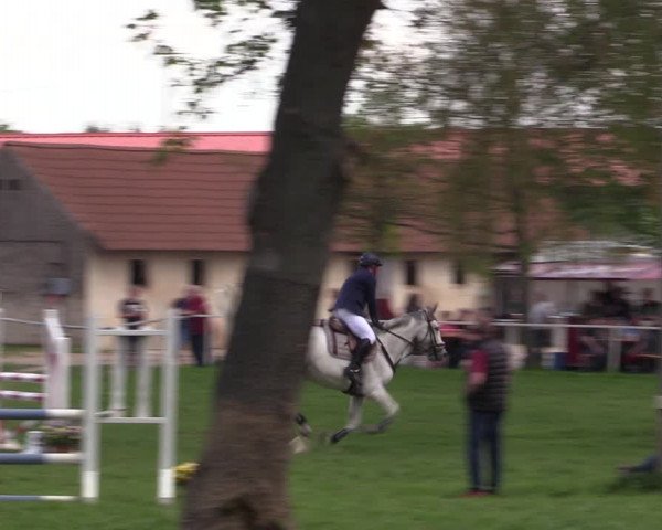 Reitturnier Derenburg 2022