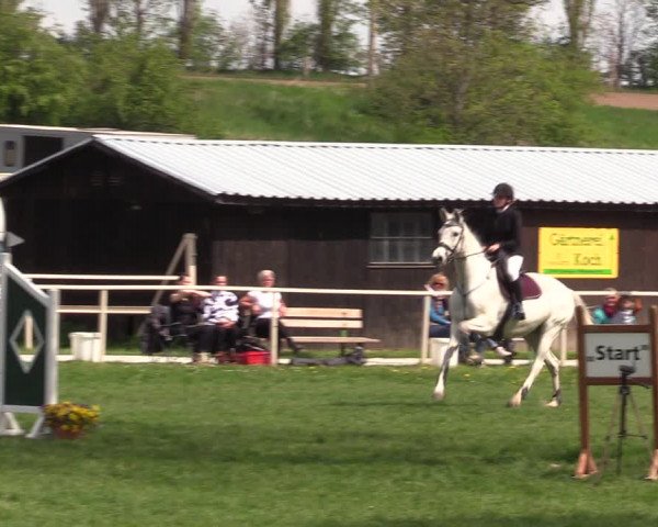 Reitturnier Derenburg 2022