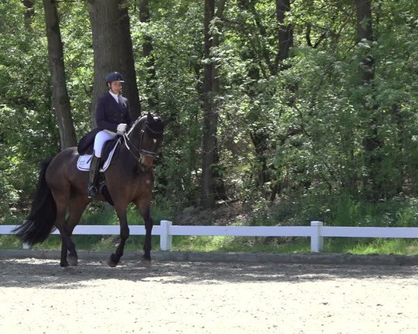 Reitturnier Meppen 2022