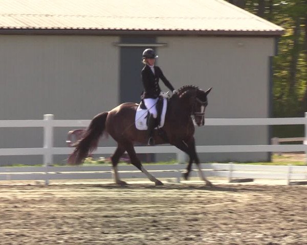 Reitturnier Mildstedt 2022
