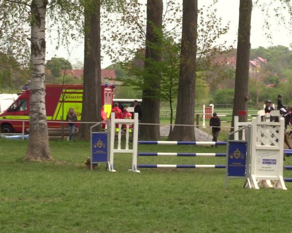 Reitturnier Derenburg 2022