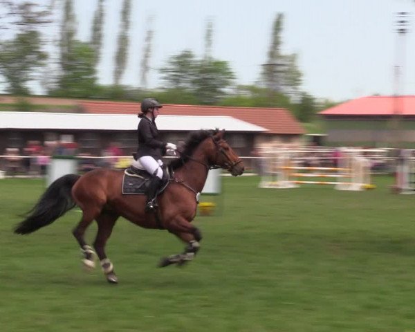 Reitturnier Derenburg 2022