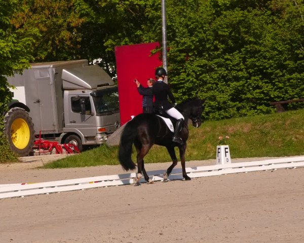 Reitturnier Pietzpuhl 2022